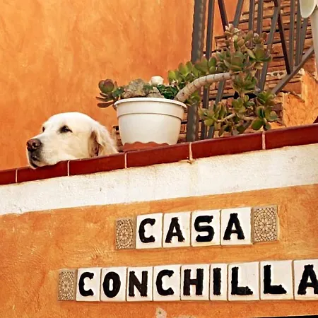 Casa Conchilla, La Casita Lägenhet Valle Gran Rey